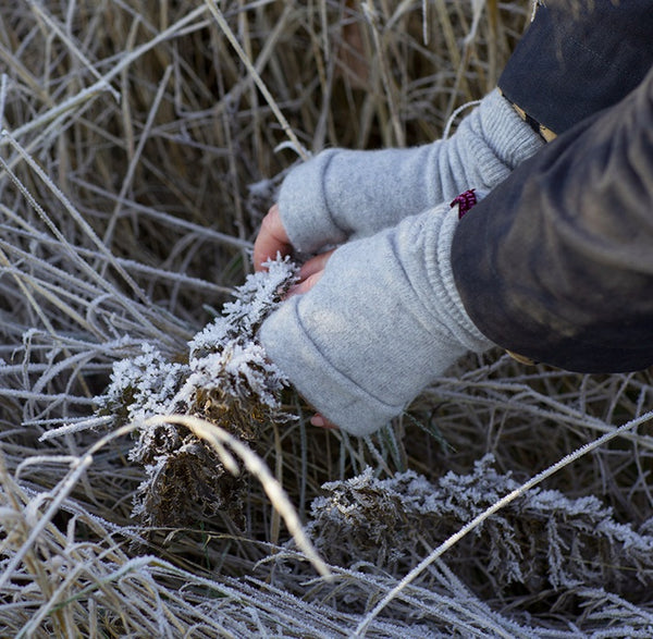 Cashmere Fingerless Gloves in Various Colours